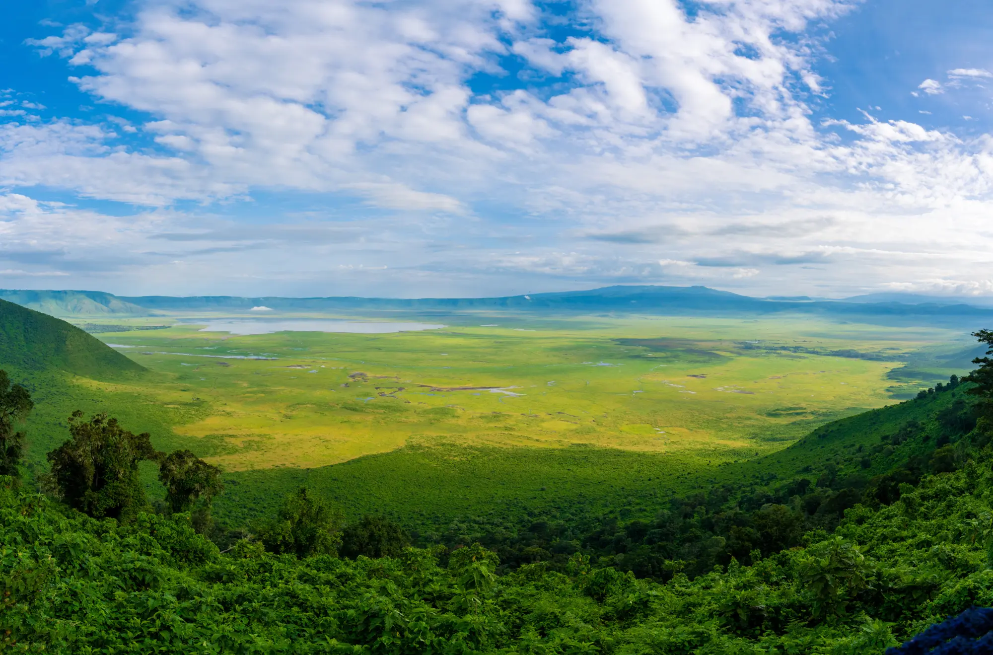 Vue panoramique sur le cratère du Ngorongoro en Tanzanie