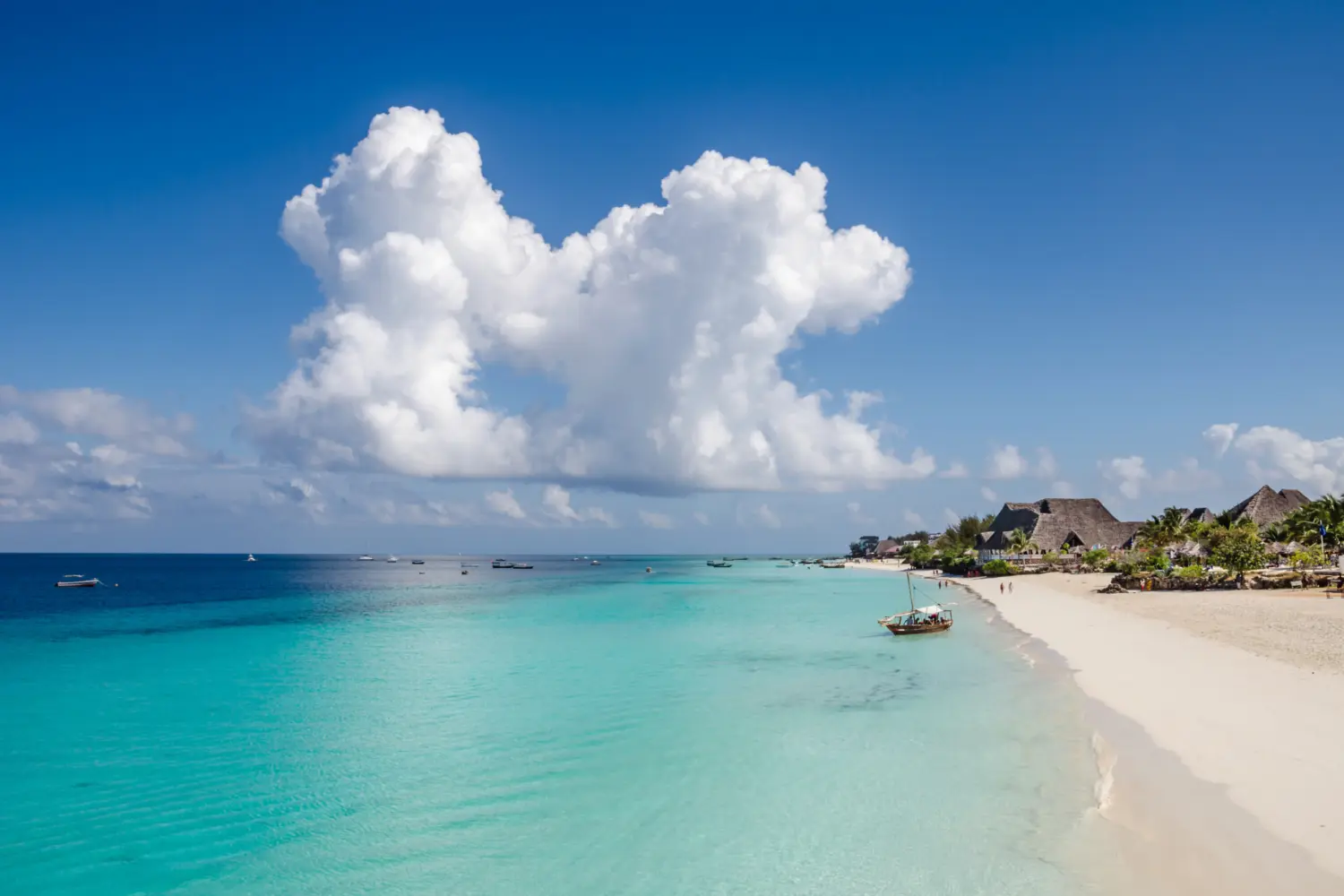 Vue sur une plage et l'eau turquoise de Zanzibar