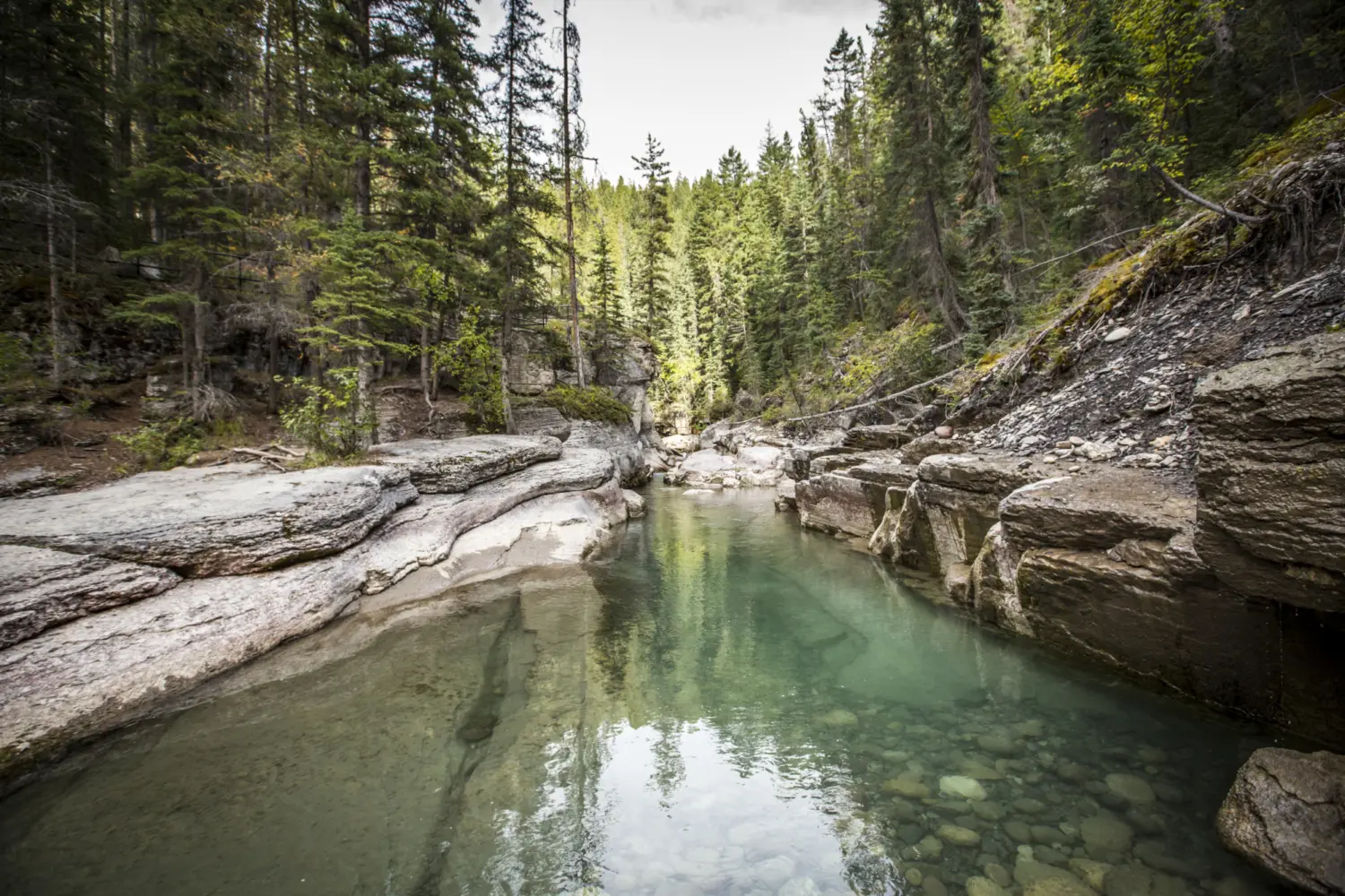 Sitemapcdatahttpsmodeinf Inetcomlantana Paysage Tours