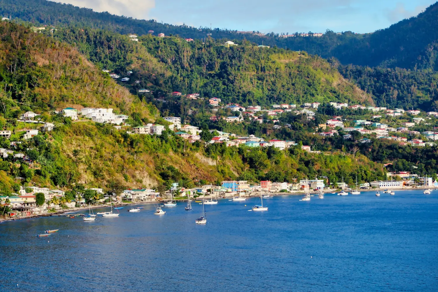 Vue sur une baie avec la végétation sur l'île de La Dominique dans les Caraïbes