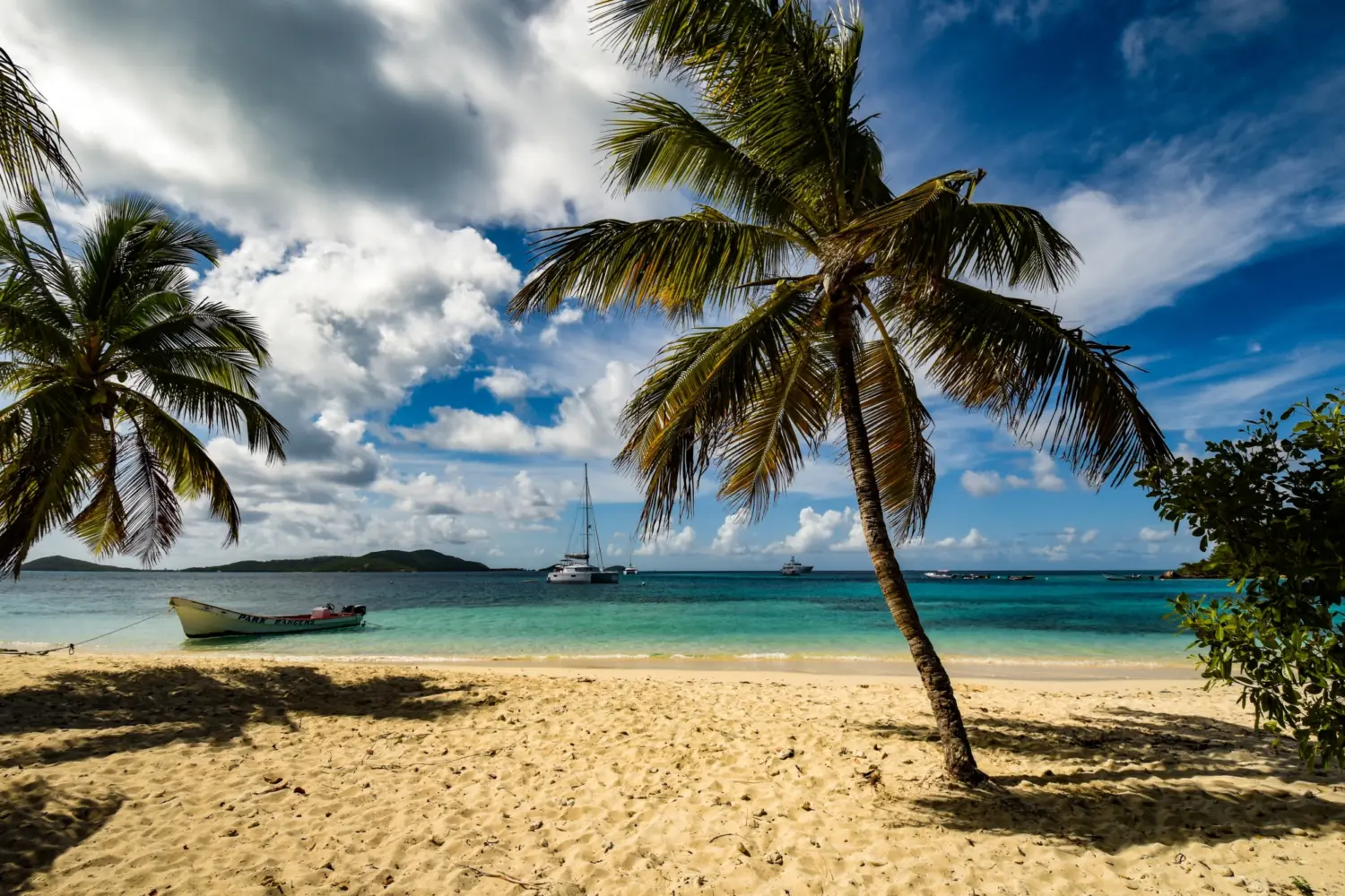 Vue sur une plage et l'océan à St-Vincent-et-les-Grenadines dans les Caraïbes
