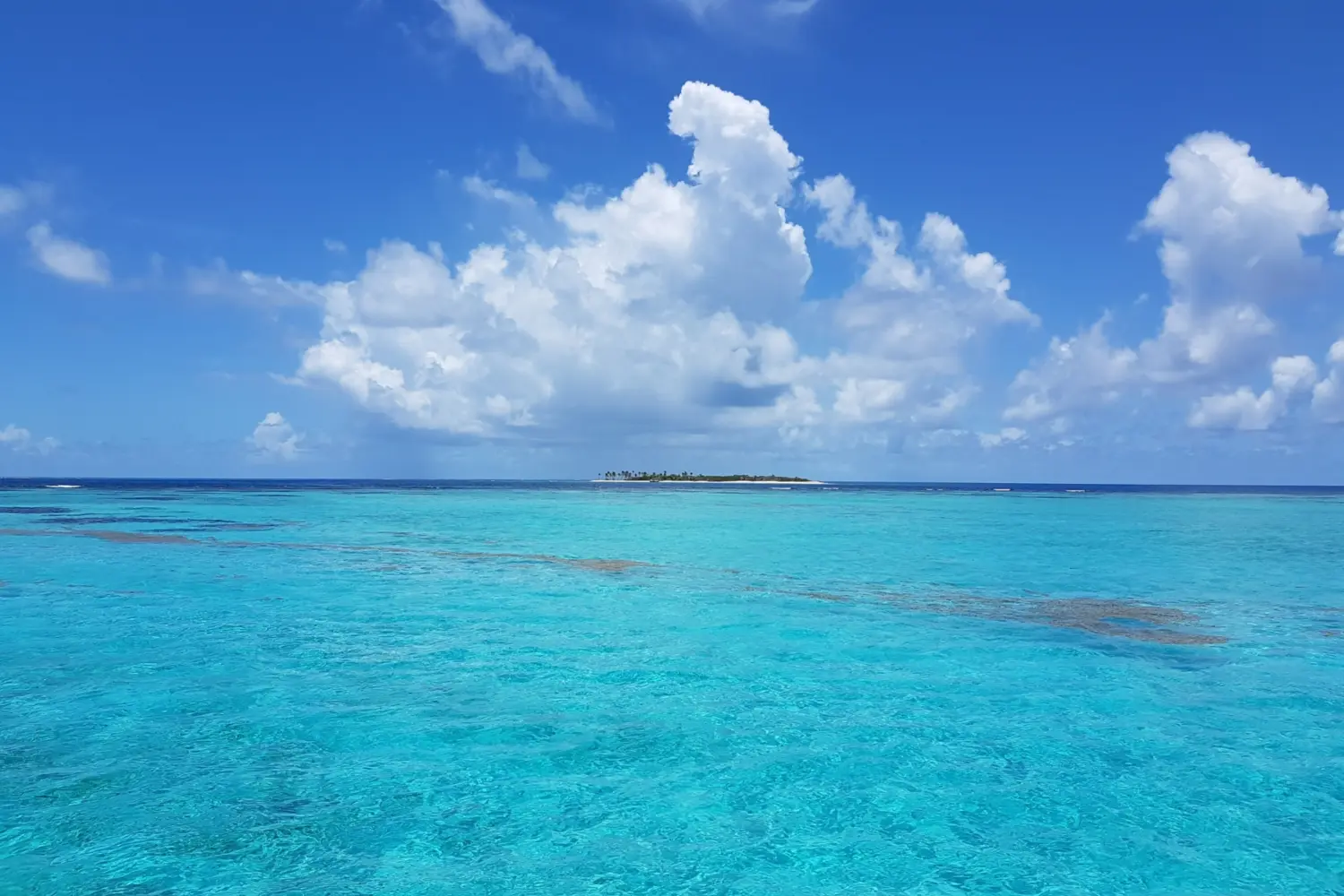 Vue sur l'océan à Tobago Cays à St-Vincent-et-les-Grenadines dans les Caraïbes
