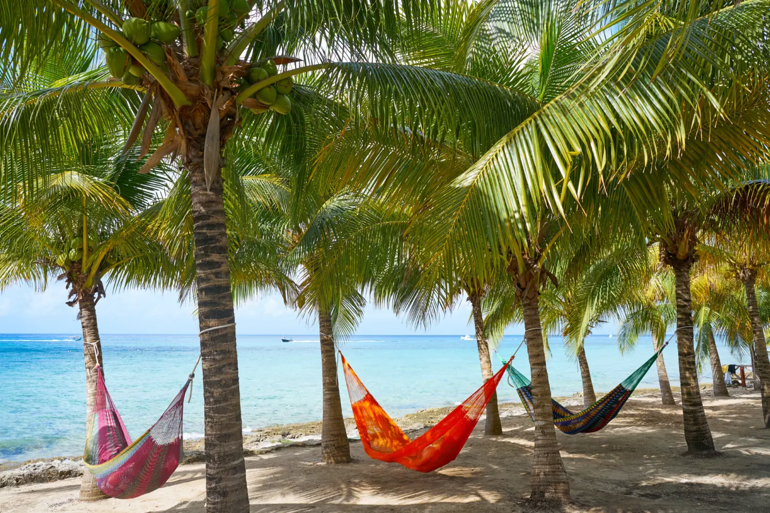 Une plage avec des hamacs à Cozumel, au Mexique