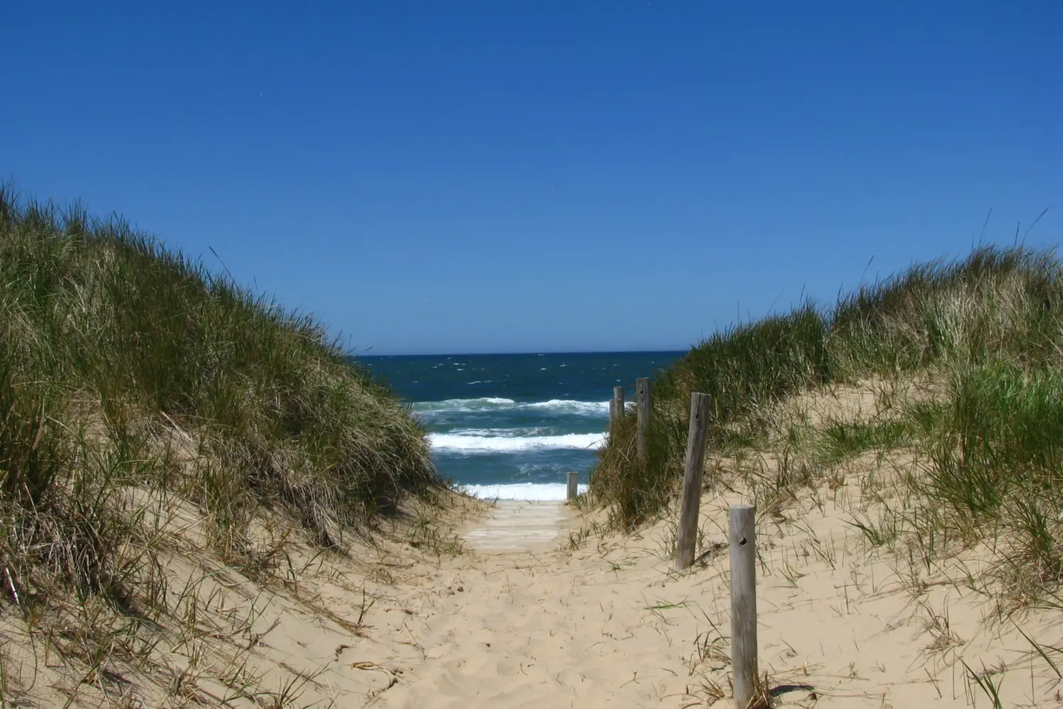 Un chemin de sable qui mène vers la mer