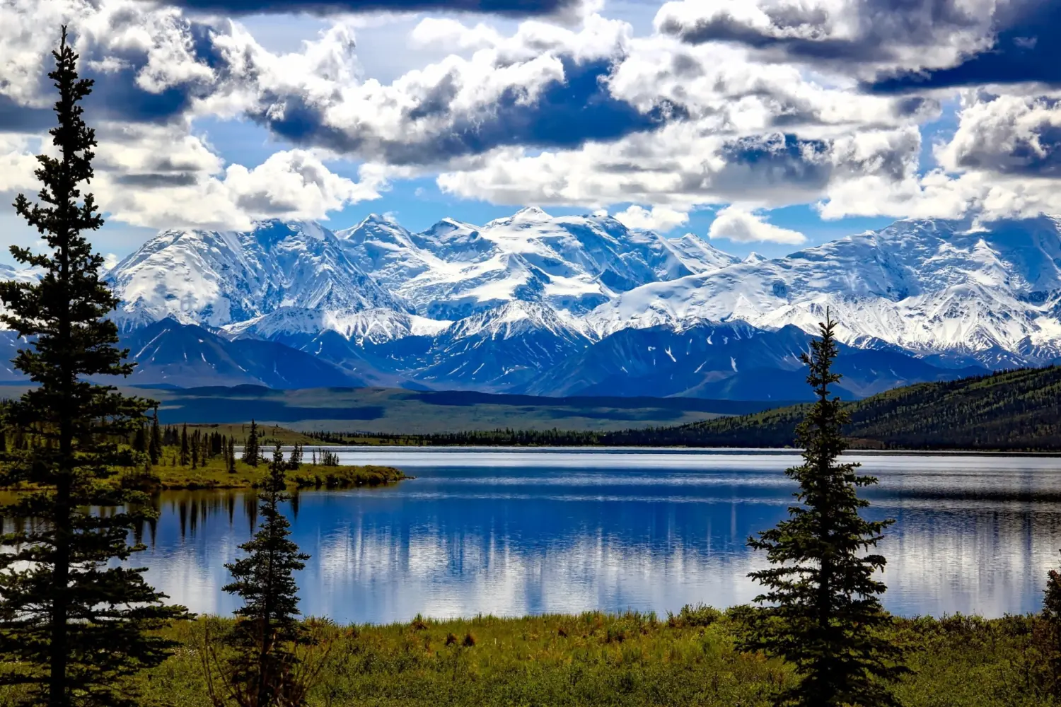 Vue sur les magnifiques paysages du parc national de Denali en Alaska