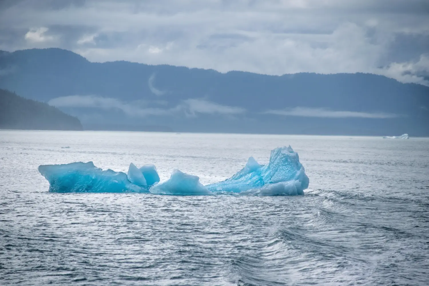Paysage lors de la navigation dans le Tracy Arm Fjord en Alaska