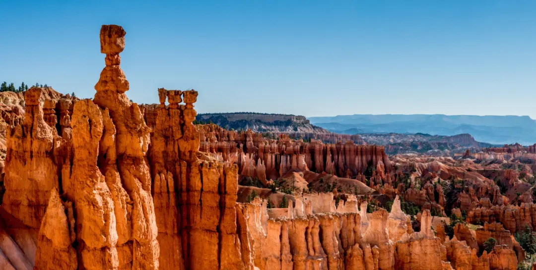 Vue sur les "hoodoos", cheminée de fées, au parc national de Bryce Canyon en Arizona aux États-Unis