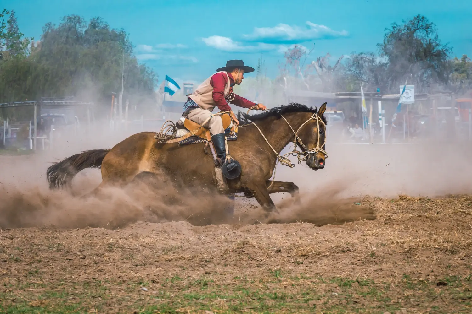 Un gaucho de la région de la Pampa, en Argentine, démontrant ses habilités avec son cheval