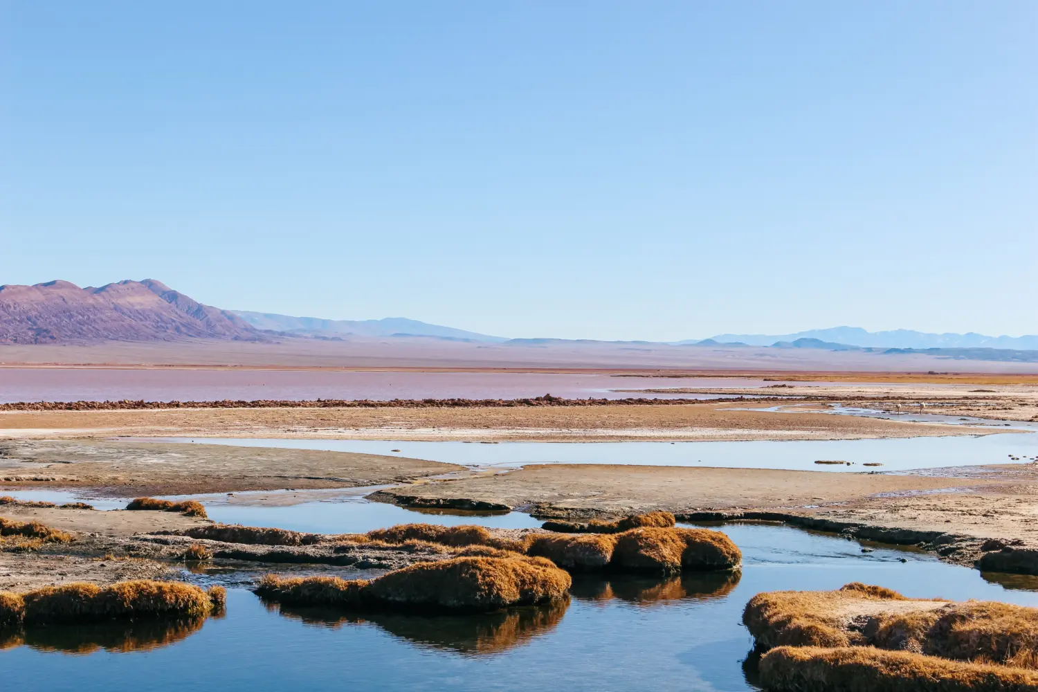 Paysage de la région de la Pampa en Argentine sous un magnifique ciel bleu