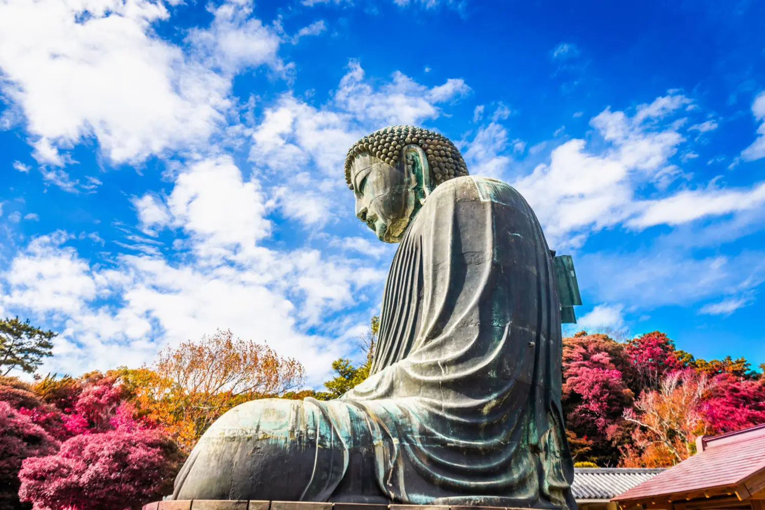 Une grande statue de Bouddha entourée d'arbres en fleurs au Japon