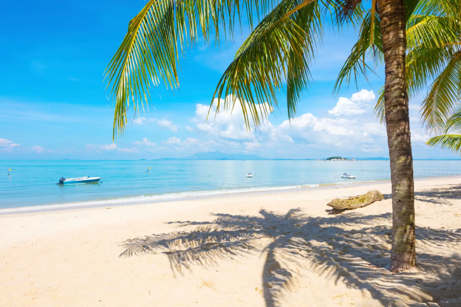 Vue panoramique de la plage de sable avec des palmiers sur l'île de Penang en Malaisie