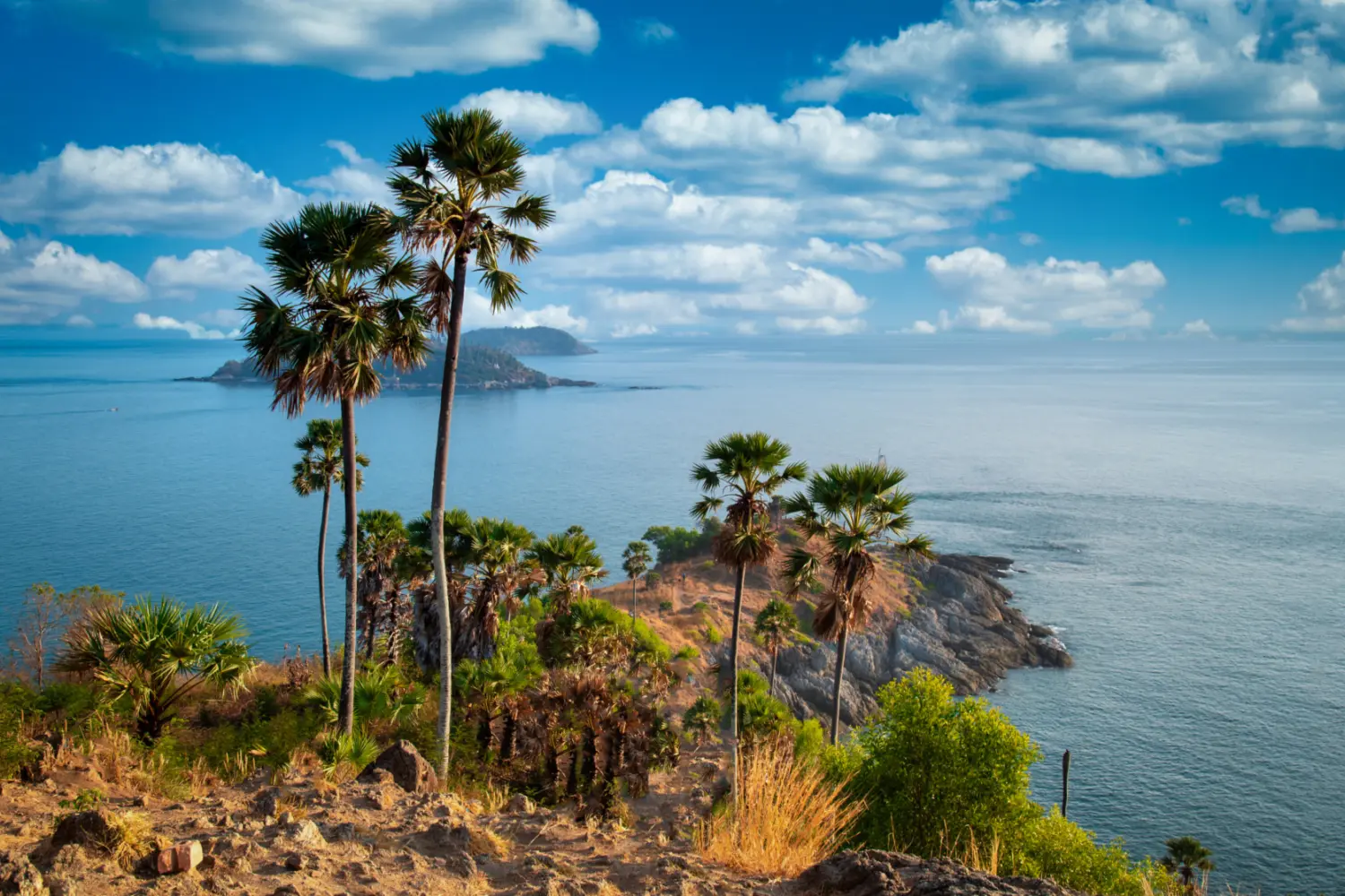 Vue de palmiers en bord de mer et îlots au loin