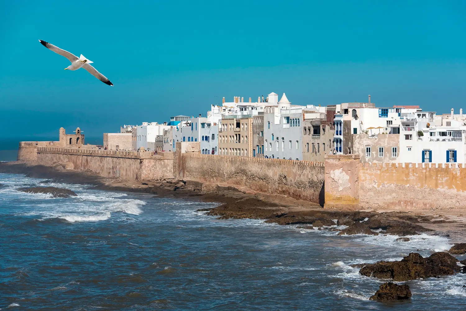 Vue sur la médina et la vieille ville d'Essaouira au Maroc sous un ciel bleu