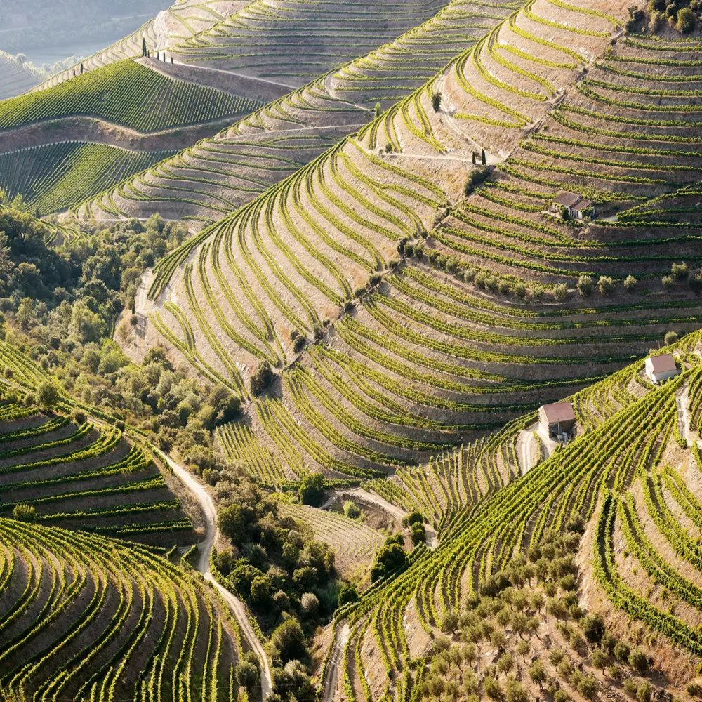 Paysage de la vallée du Douro au Portugal