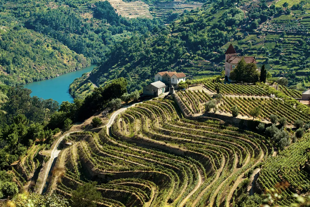 La magnifique vallée du Douro au Portugal
