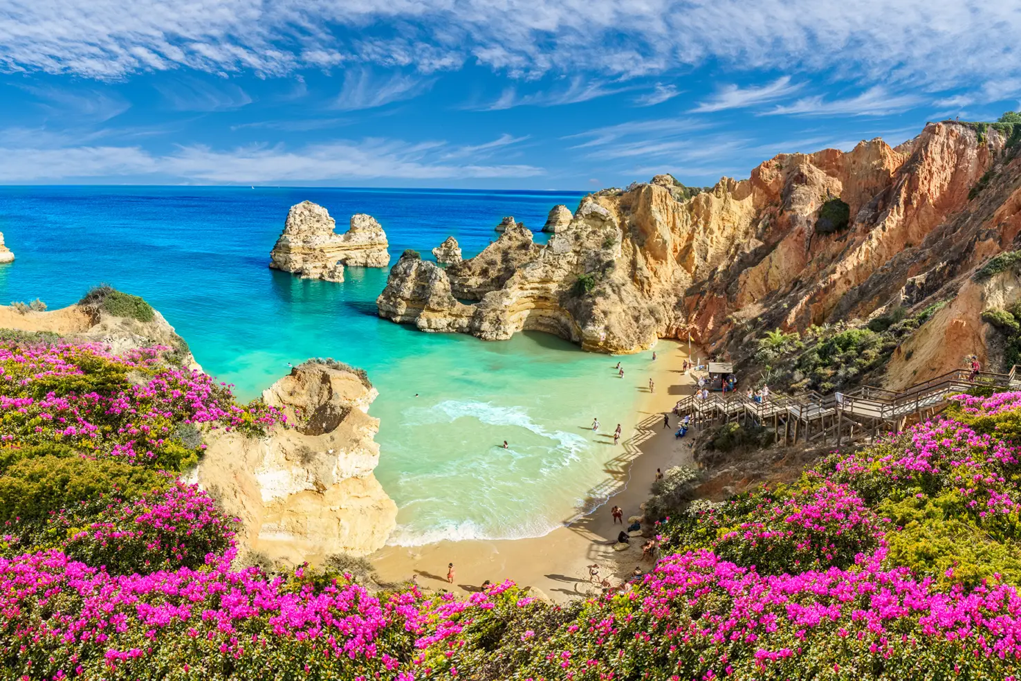 Paysage typique de l'Algarve avec ses plages et ses magnifiques falaises, sous le ciel bleu Portugal et avec des belels fleurs roses