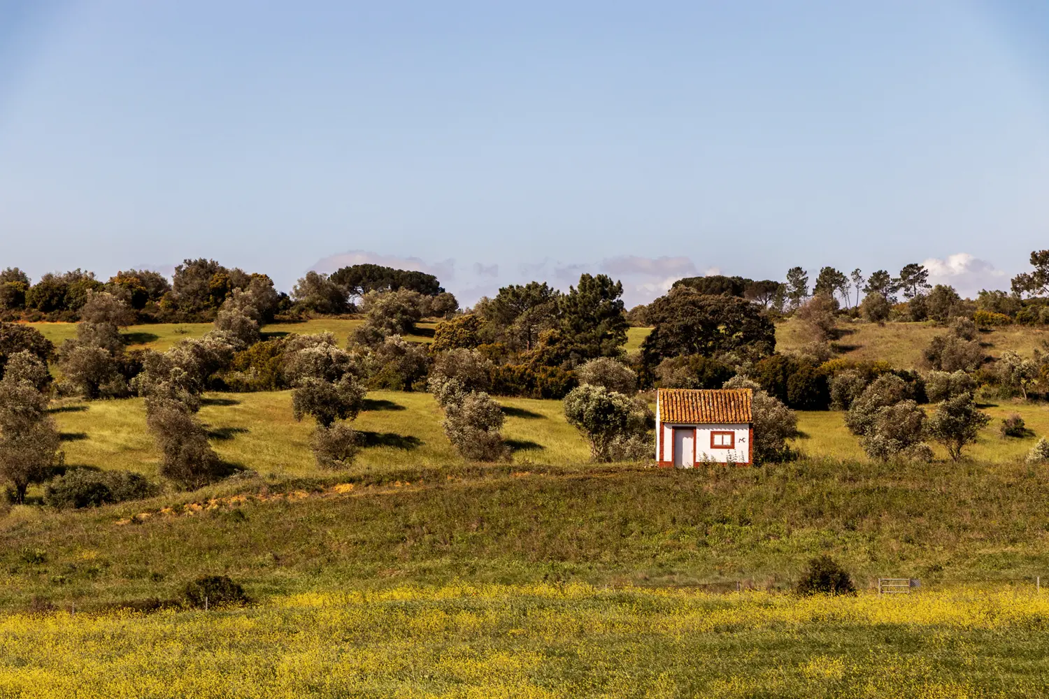 Paysage de la région de l'Alentejo sous un ciel bleu