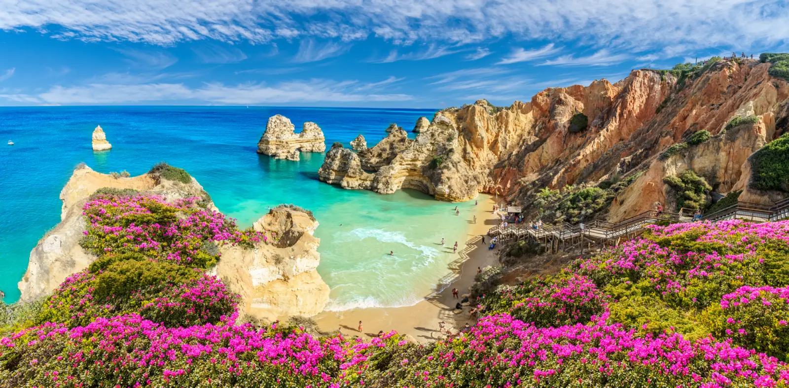 Paysage typique de l'Algarve avec ses plages et ses magnifiques falaises, sous le ciel bleu Portugal et avec des belels fleurs roses