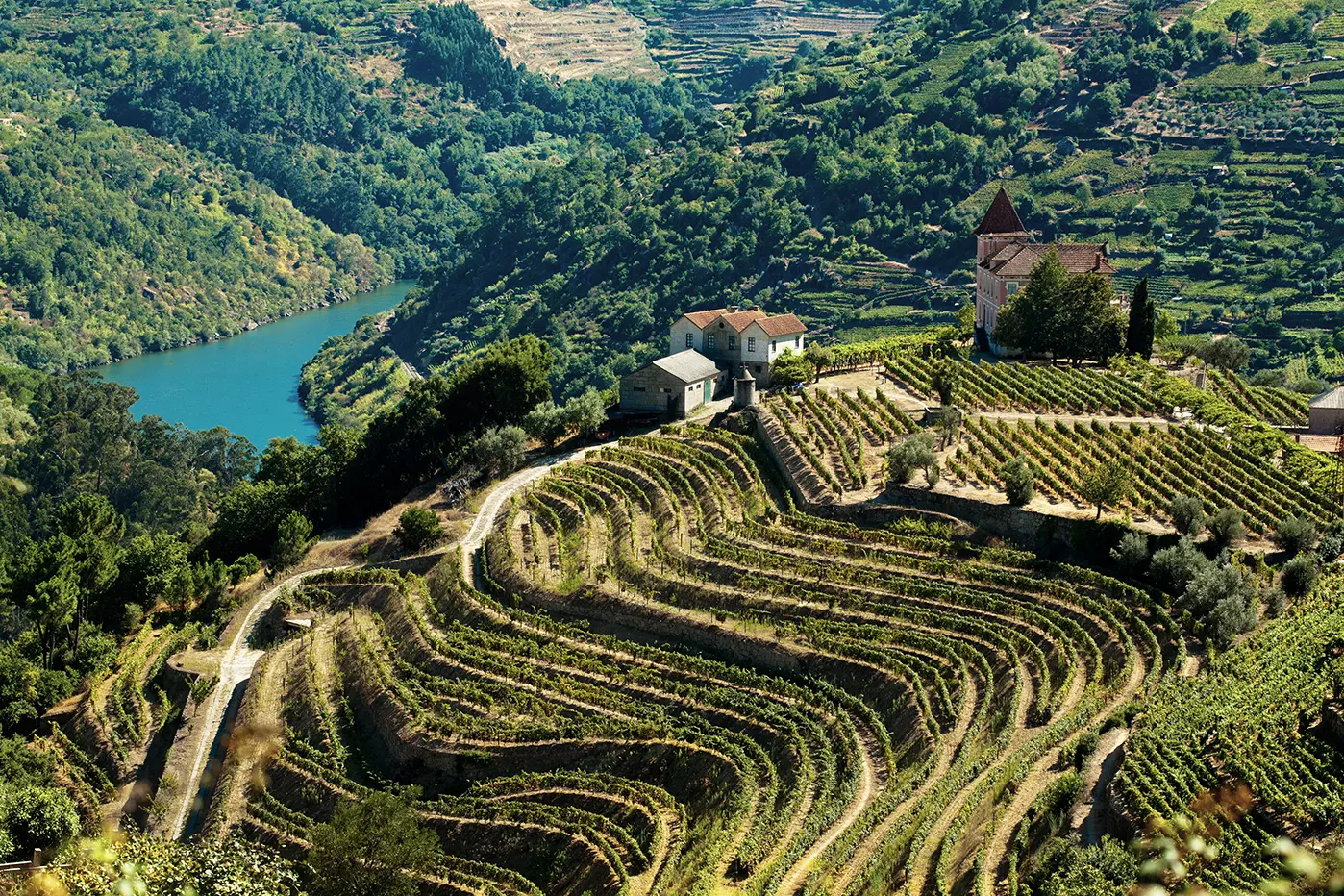 La magnifique vallée du Douro au Portugal