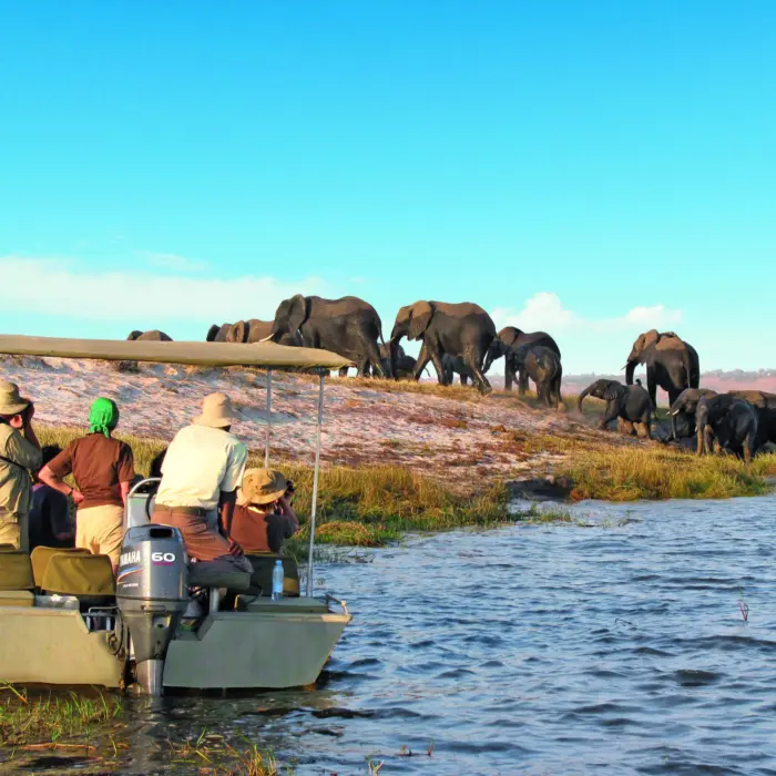 Safari-nautique sur le Zambèze en Afrique du Sud