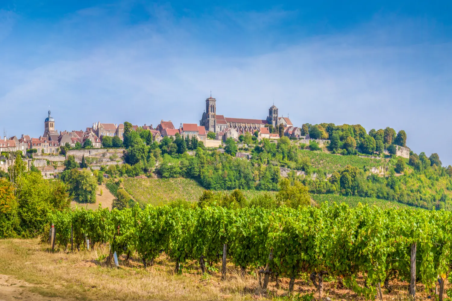Bourgogne - France, France, Vézelay, Vignoble, Vin