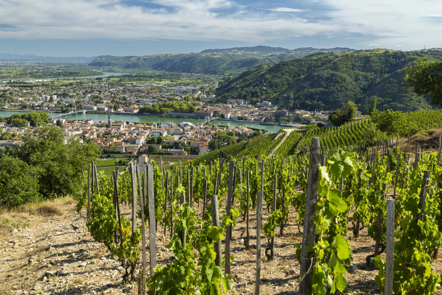 Rhône, Vignoble, Tourisme, Colline, Paysages