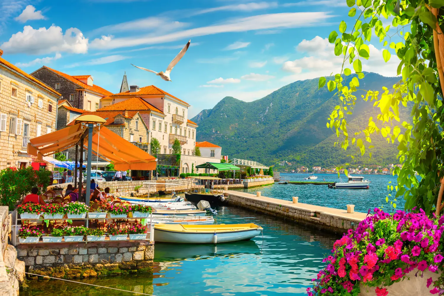 Paysage du bord de mer de Kotor