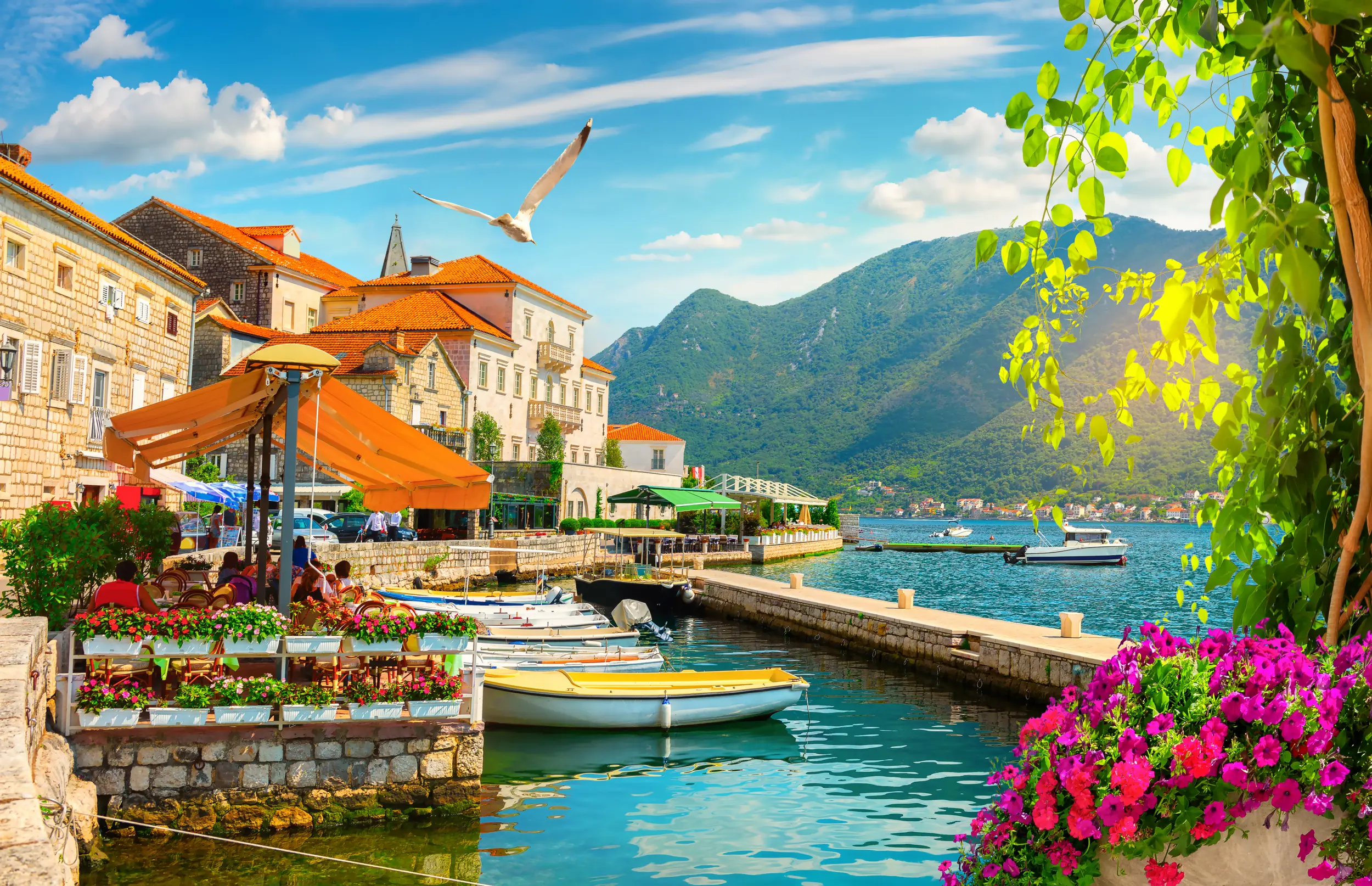 Paysage du bord de mer de Kotor