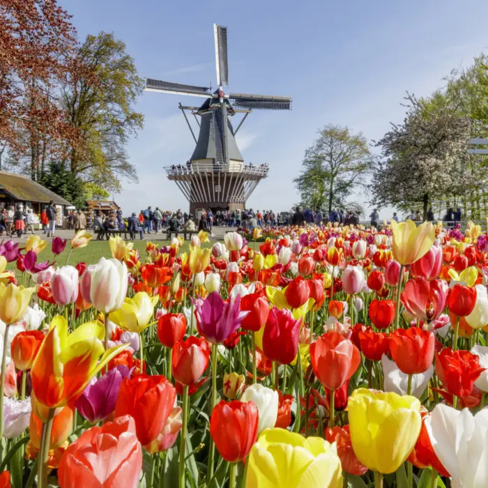 Parc floral de Keukenhof au Pays-Bas