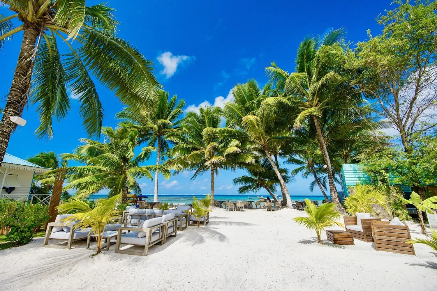 Une plage avec des palmiers et des espaces pour d'asseoir au Opoa Beach Hotel à Raiatea