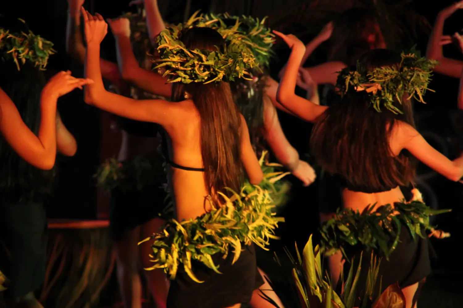 Des femmes en costume polynésien dansant