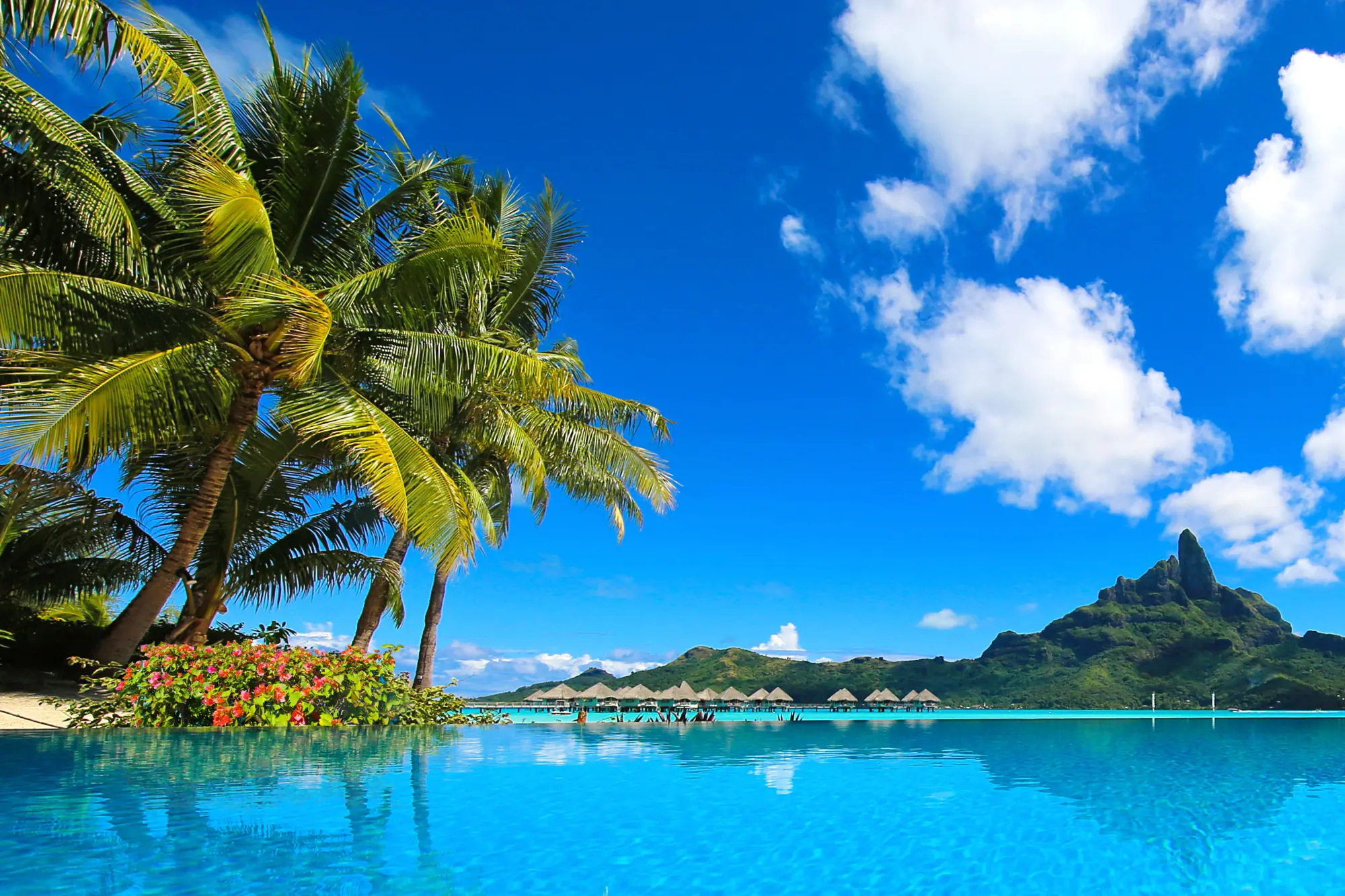 Vue d'une piscine sur une montagne et des palmiers à Bora Bora