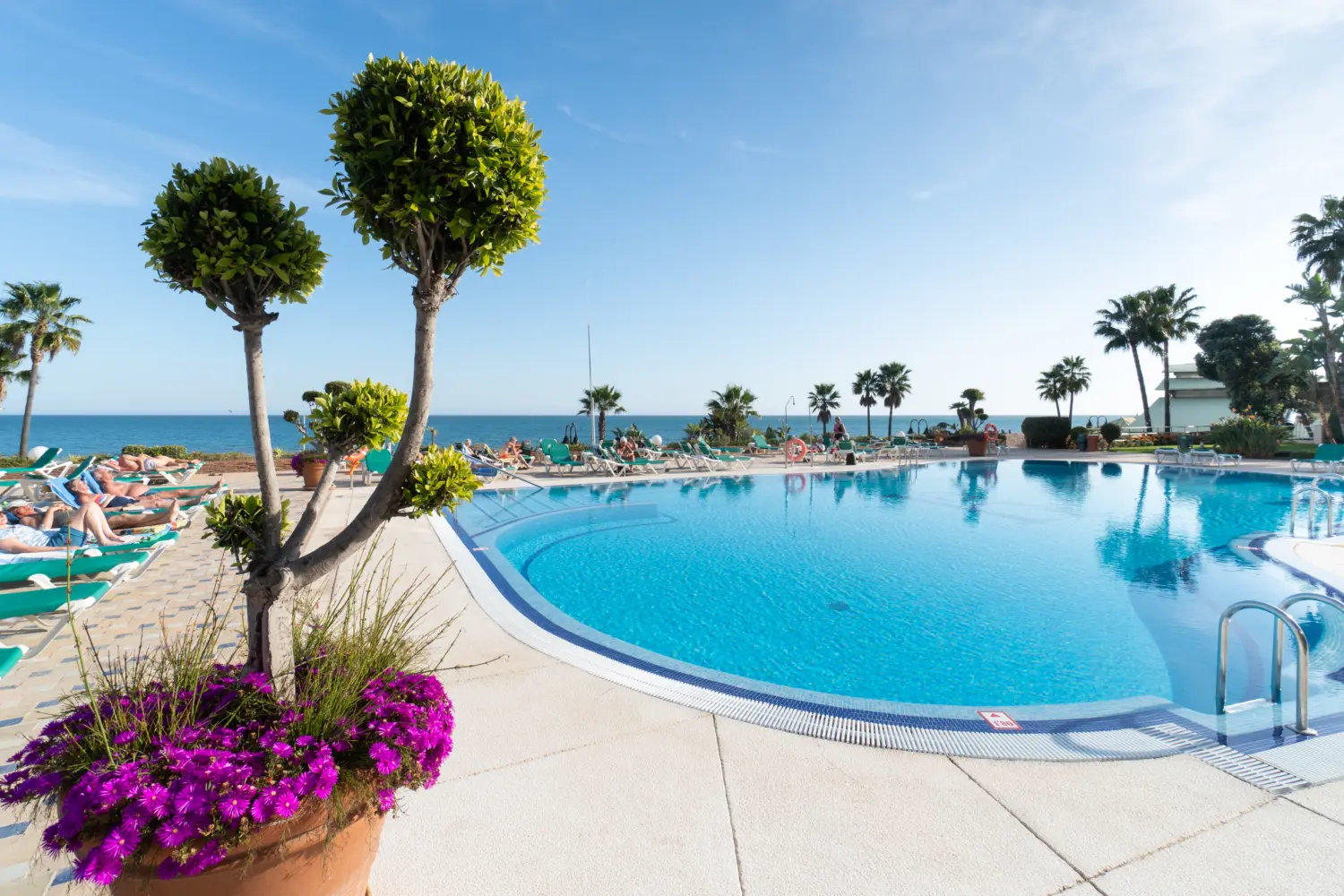 Vue sur une piscine extérieure de l'un des hôtels sur la Costa del Sol