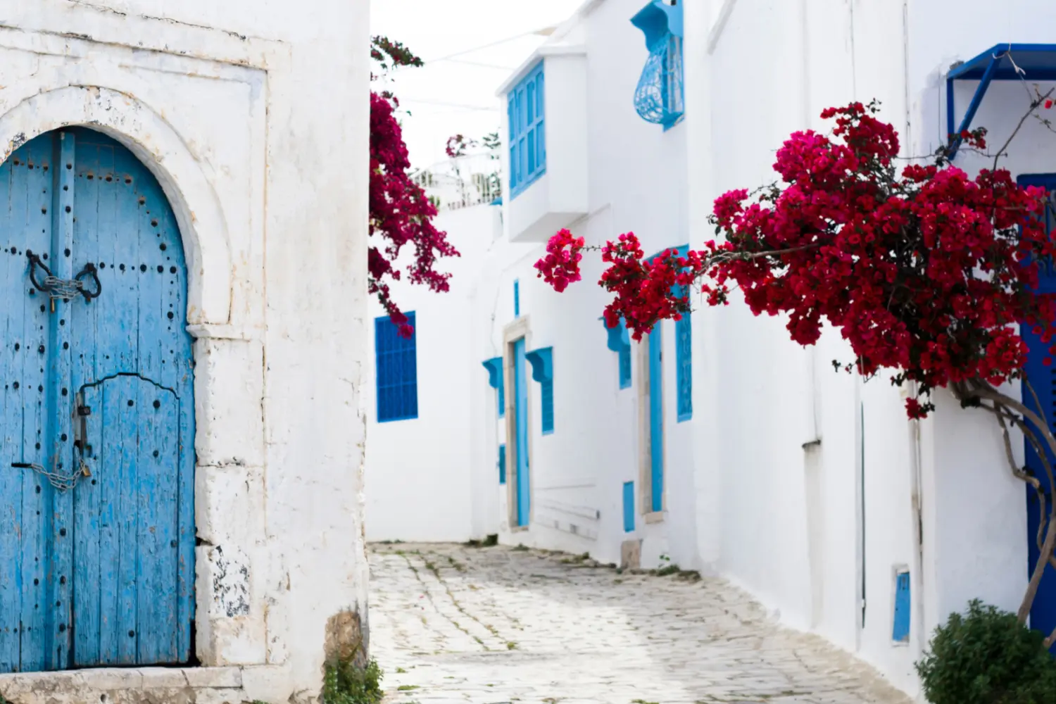 Une ruelle colorée en Tunisie