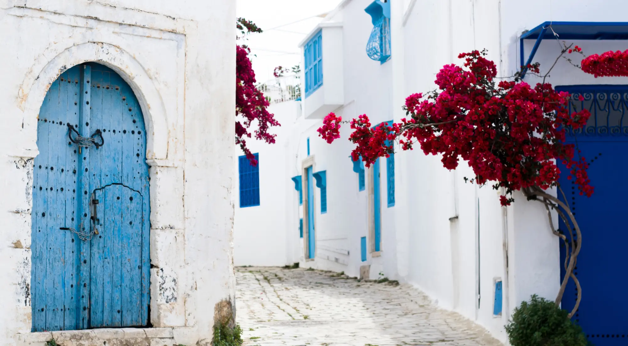 Une ruelle colorée en Tunisie